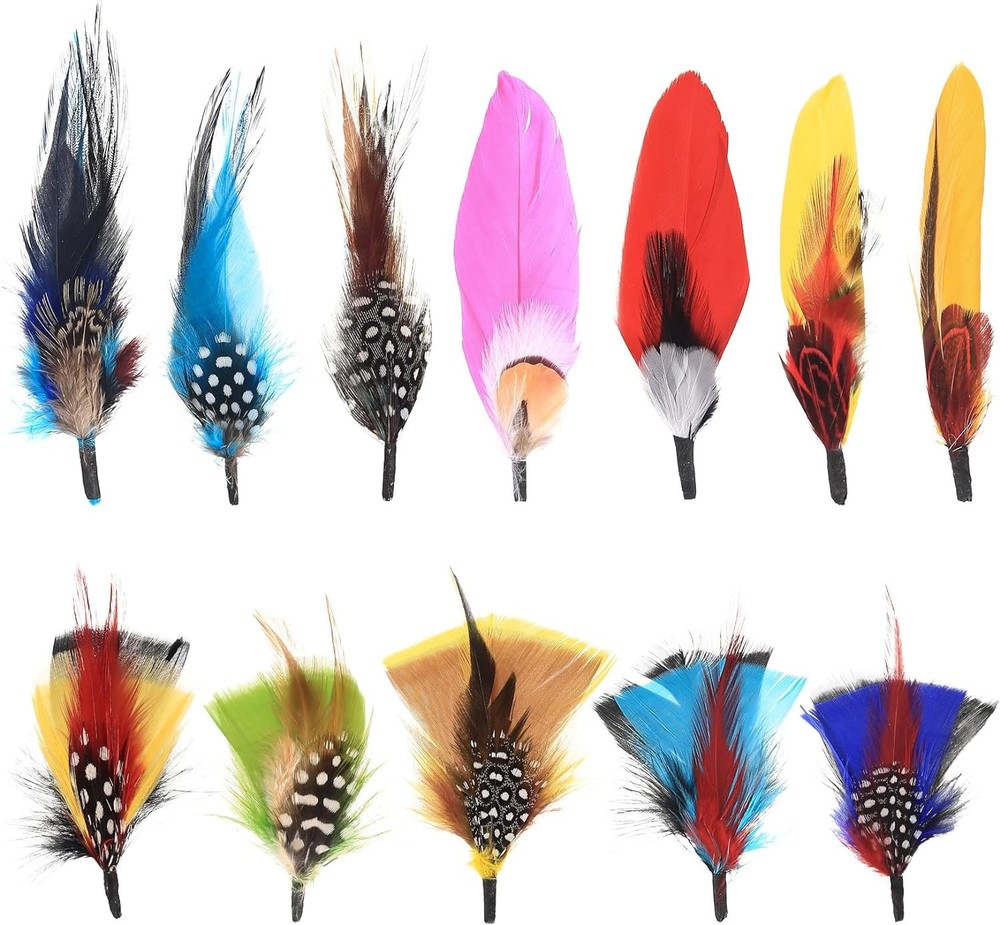 Hat Feathers, 12 Pcs Natural Mixed Assorted Cowboy Hats Feathers,...