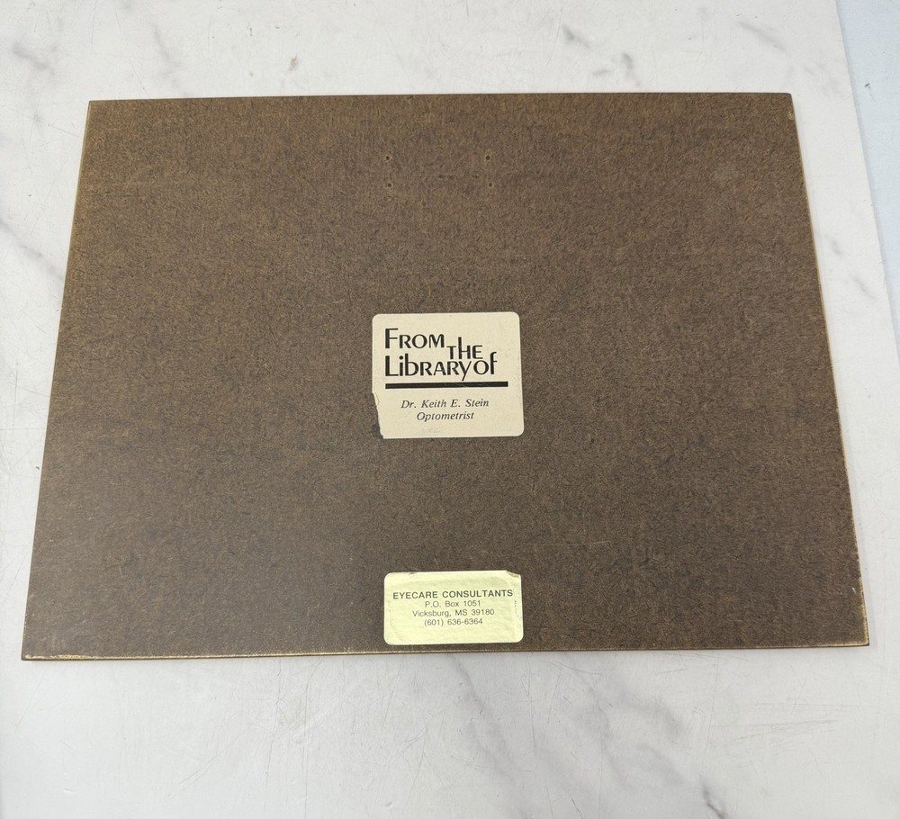 Vintage Optometry Eye Chart Board Common Refractive Errors Teaching Display