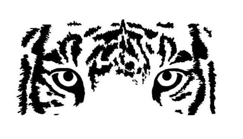 Tiger Stencil Template Airbrush Paint #35