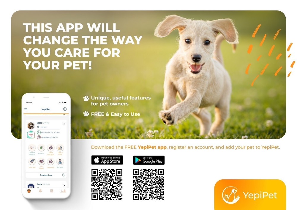 Pet Identification Tag