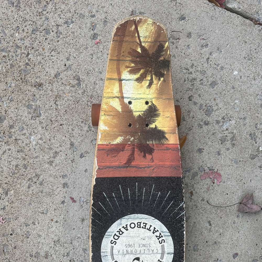 Kryptonics Skateboard Longboard 36in. x 9in. Sunset Palm Trees Art. COMPLETE