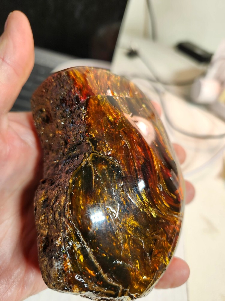 Lion's Mane Amber, Sumatra, Indonesia