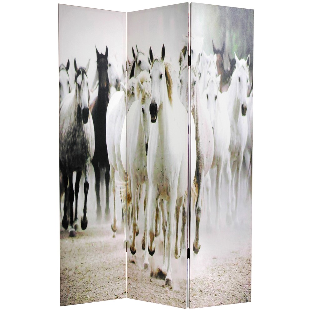 6 ft. Tall Double Sided Horses Canvas Room Divider