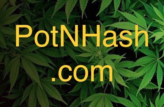 PotNHash.com ~ Pot N Hash ~ Premium .com Domain Name ~ Billion $$ Industry