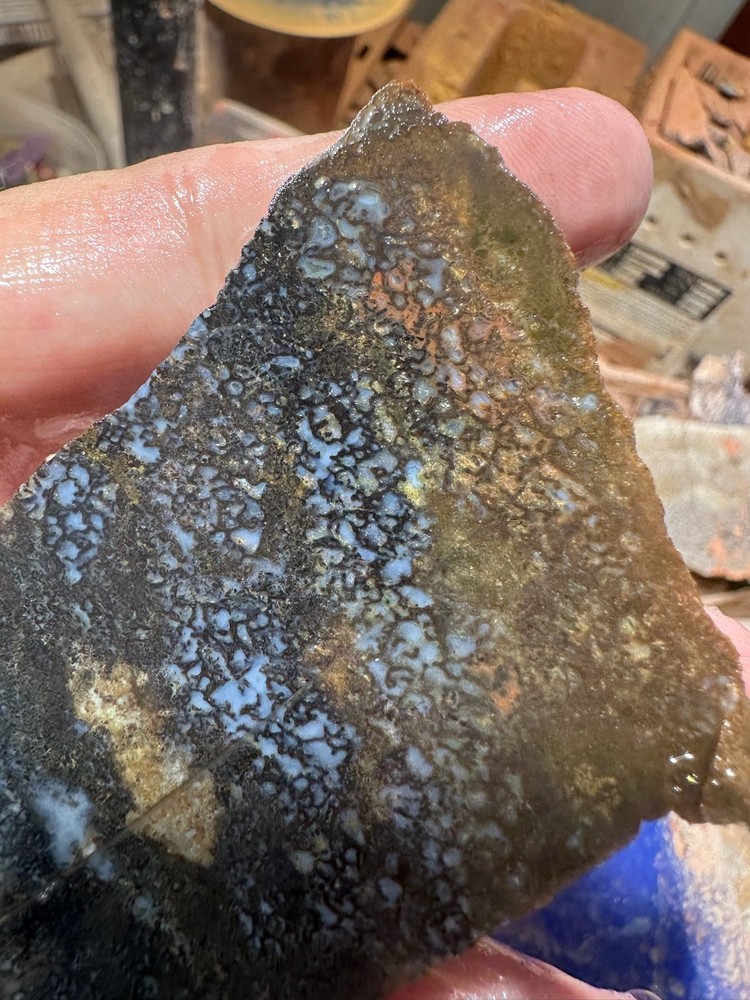 Dinosaur bone rough slab.