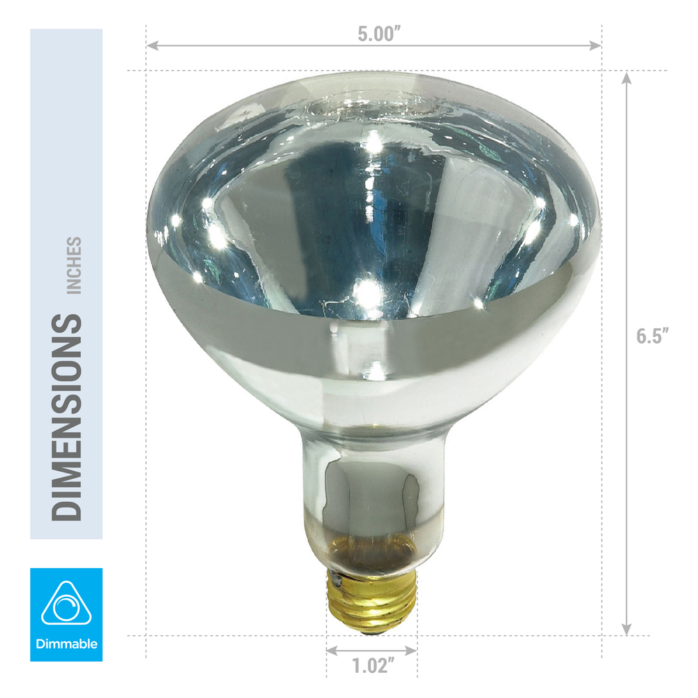 4 Pack 250W Watt Infrared Brooder Chicken Coop Hen House Clear Heat Lamp R40 E26