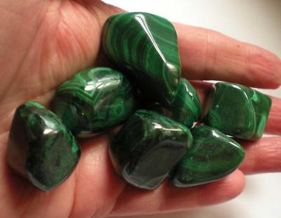 Malachite - 7 Tumbled Stones rt555e