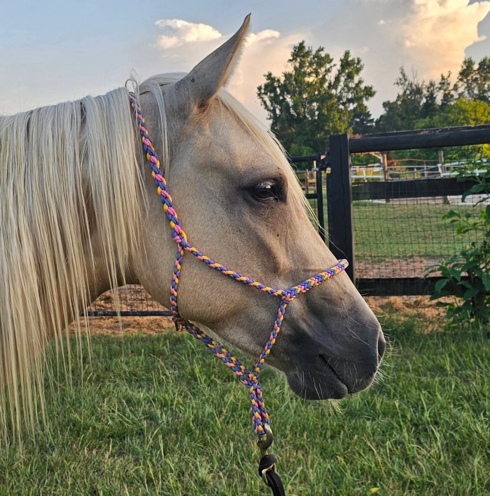 Paracord Braided Rope Halter