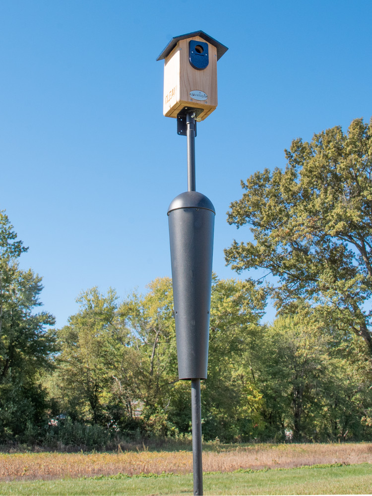 Cedar Ultimate Bluebird House (Blue)