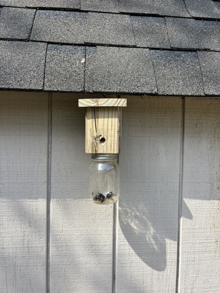Carpenter Bee Trap Handmade w/jar