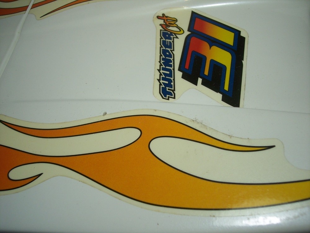 Pro boat Thunder Cat 31 Nitro RC catamaran Boat w/ dynamite .32 engine
