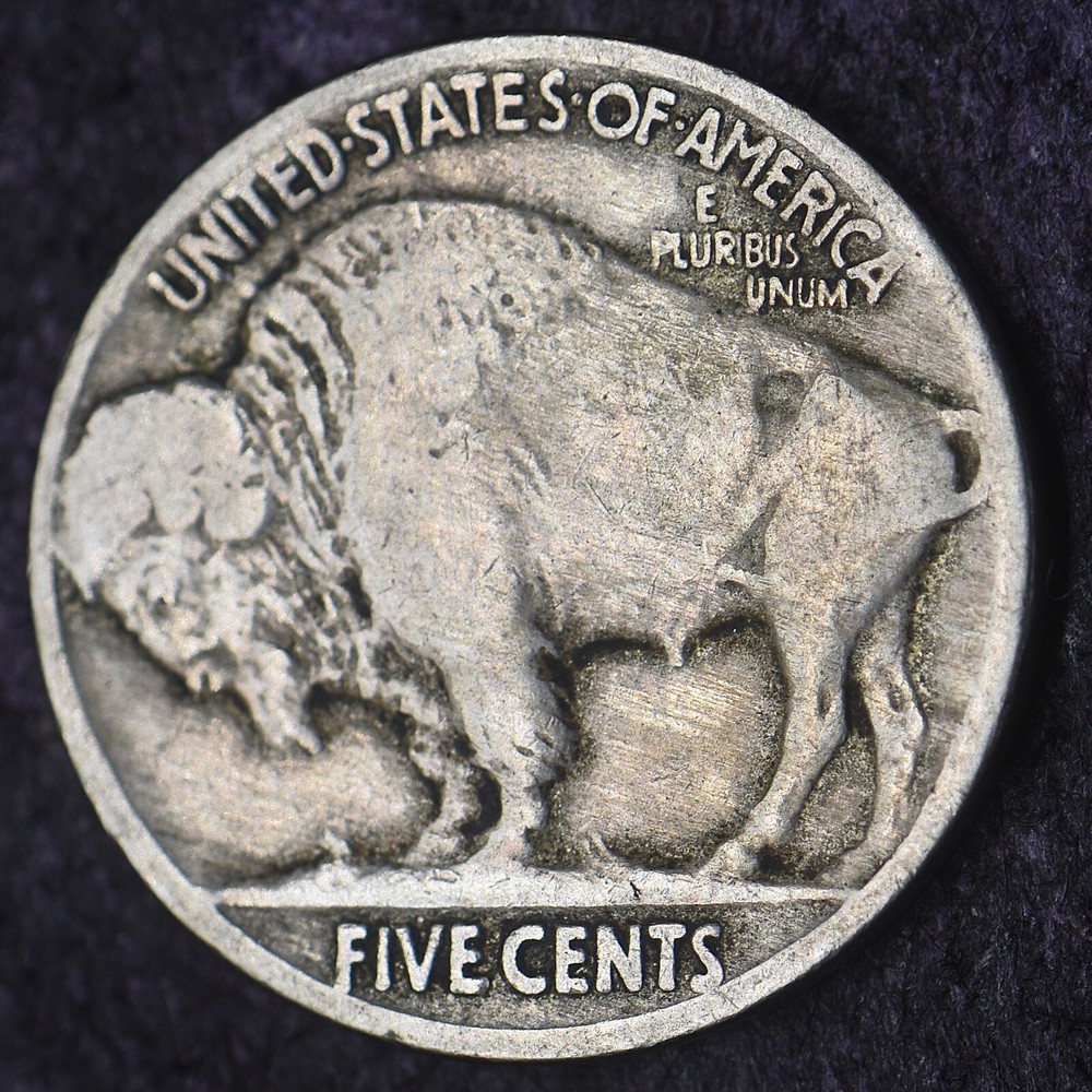 1923-P Buffalo Nickel 5C - COINGIANTS -