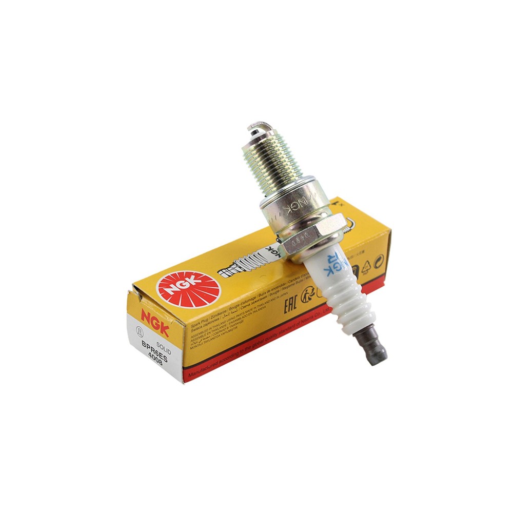 NGK Spark Plug 4008