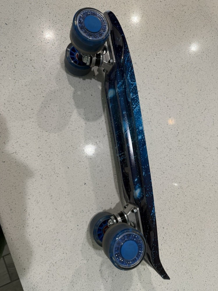 Penny Board Skateboard