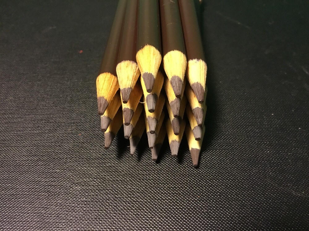 (20) Crayola Colored Pencils (beaver) BULK