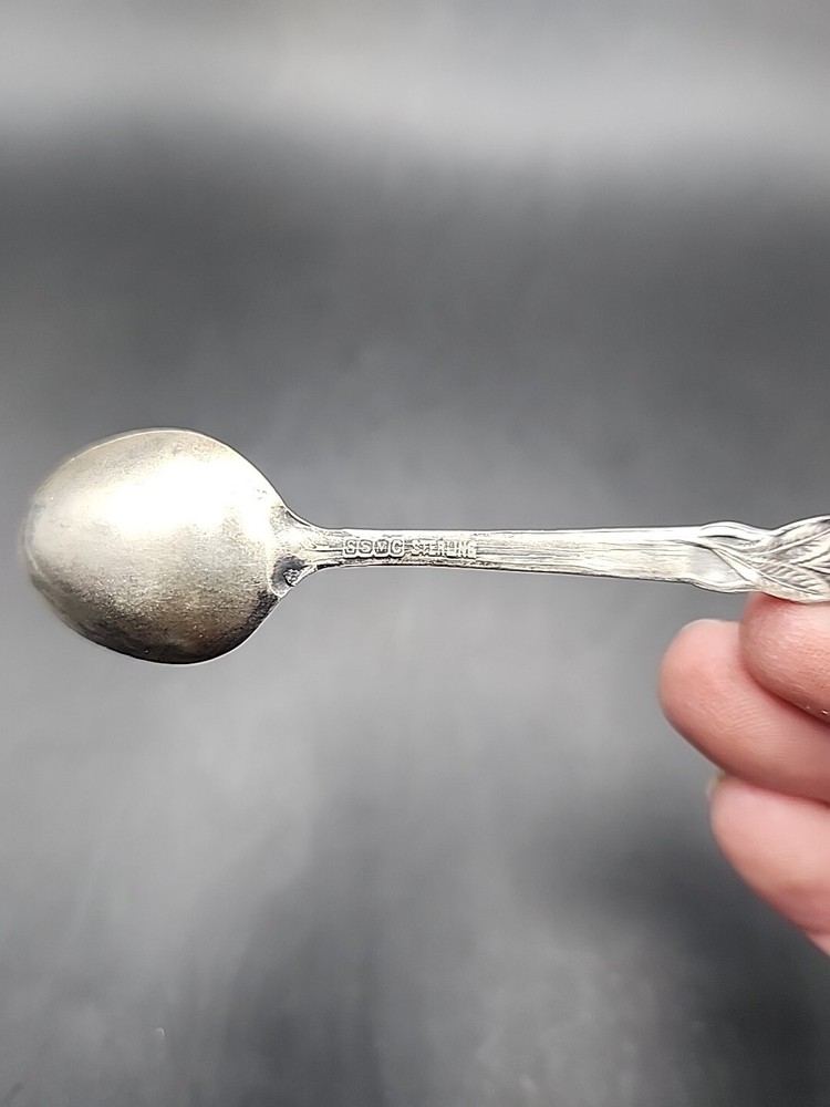 Sterling Spoon SSMC Flower Denver Engraved Sugar Spoon