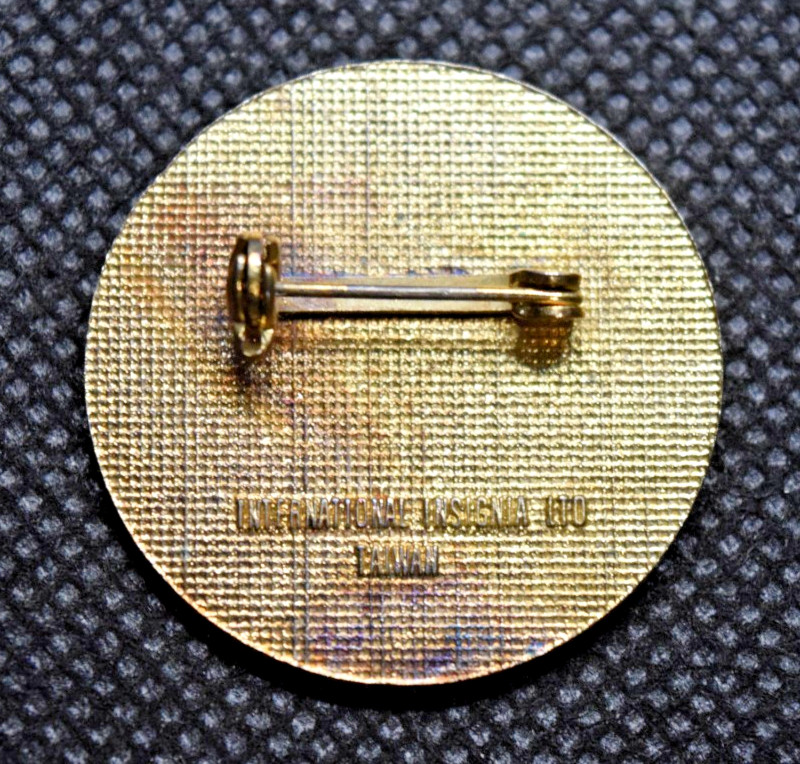 Come Ski with Me Ski Lapel Pin