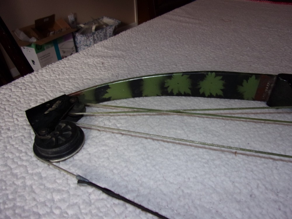 Bear Whitetail Hunter Compound Bow