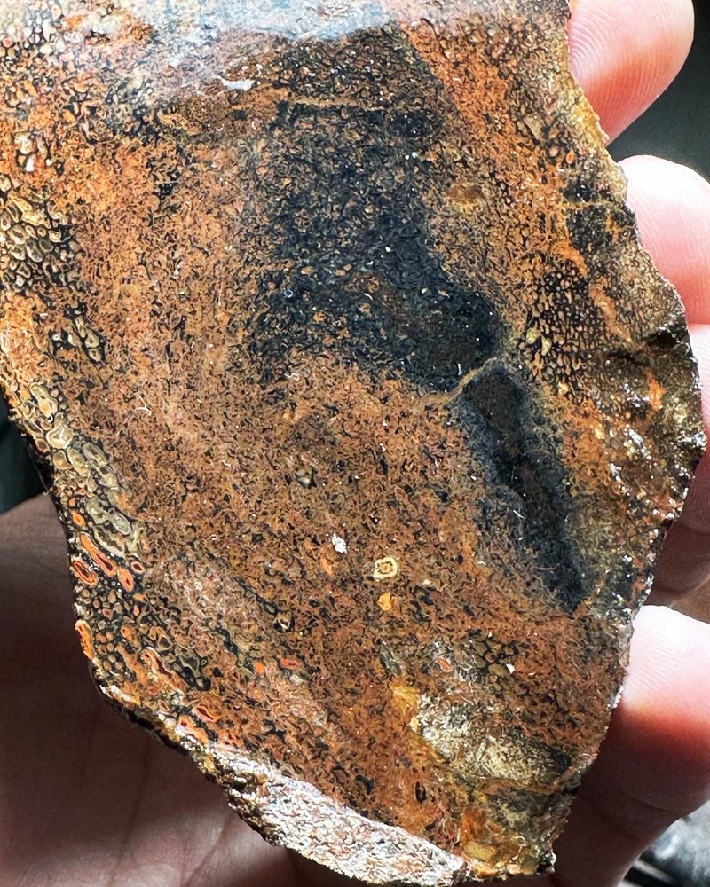 Dinosaur bone rough **hxtled slab.