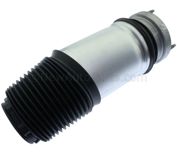Air Spring - GM (85521597)