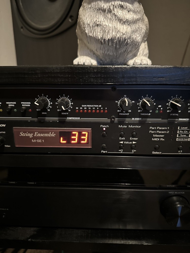 ROLAND STRING ENSEMBLE M-SE1 Sound Expansion Module