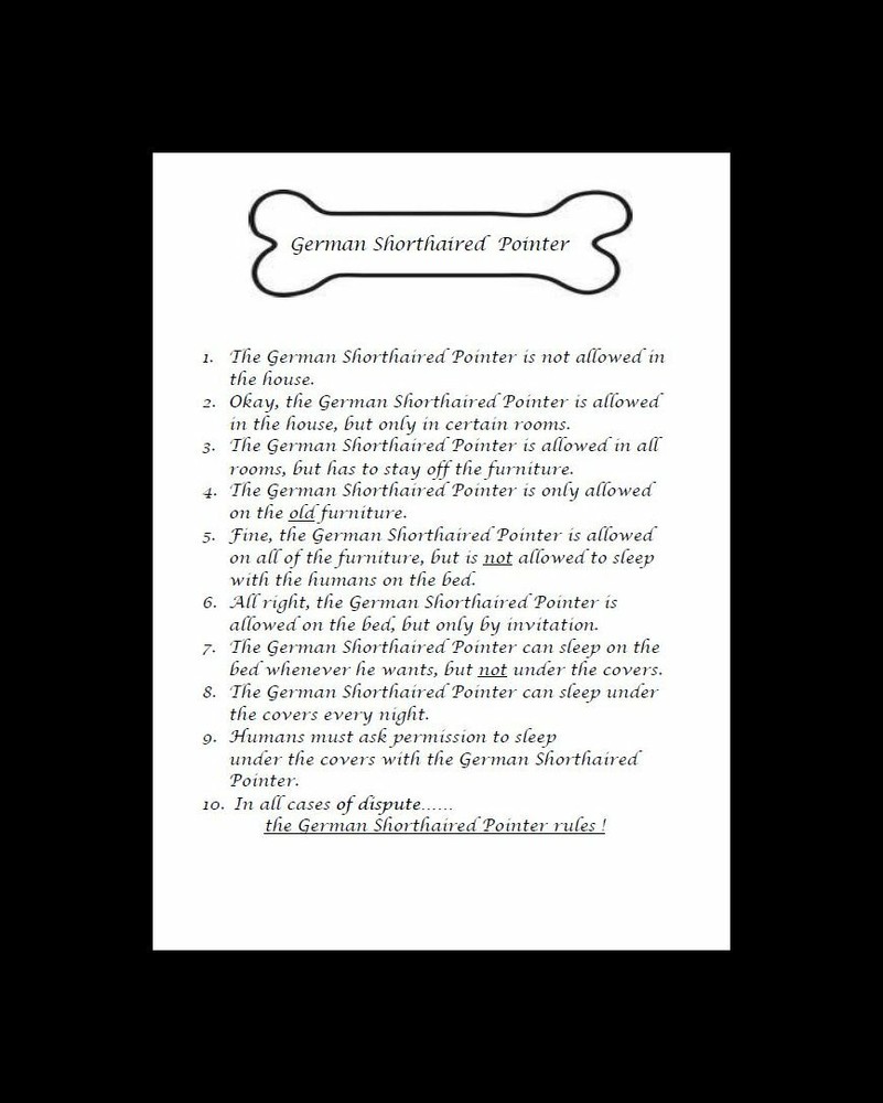 * German Shorthaired Pointer "Rules" - CUSTOM MATTED - Dog Art Print : GIFT