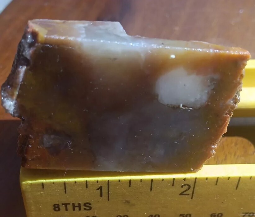 Volcanic Petrified Wood Limb Casting End Cut From Cube Utah See Cube