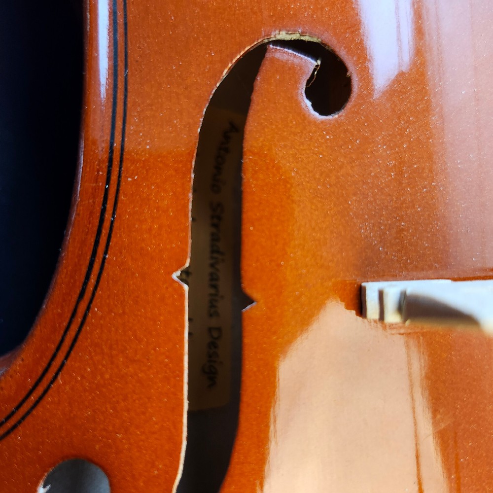 Student Violin w/ Case Bow Rosin String Cheek Rest 4/4 Size