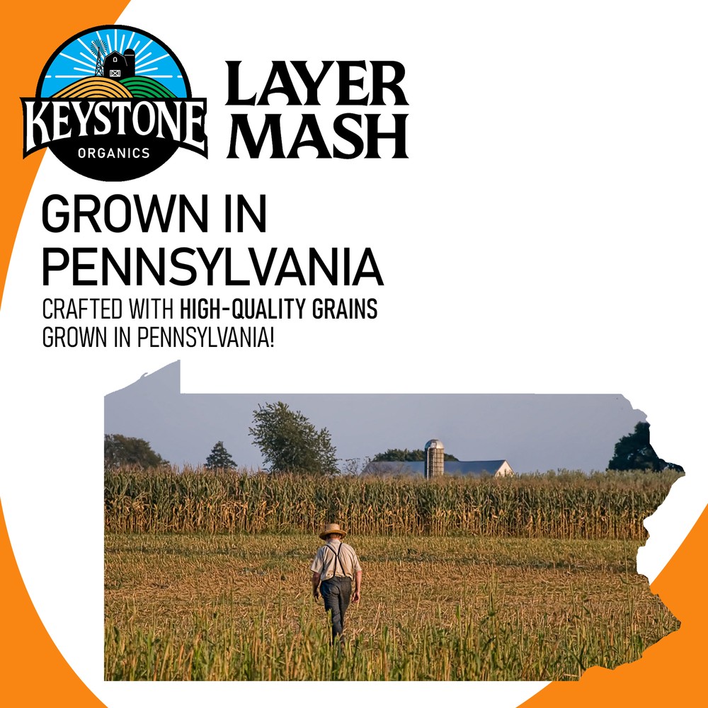 Keystone Organics USDA Layer Mash Chicken Feed, 44lbs