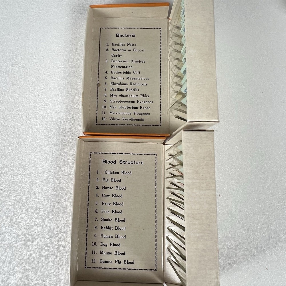 Vintage Sears 60 Prepared Microscope Slides Labeled Educational Actual Specimens