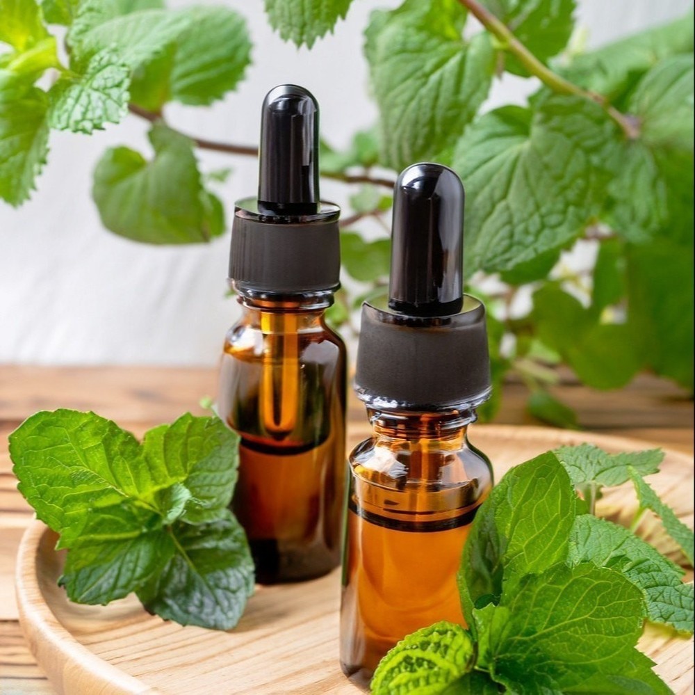 Menthol Liquid Essential Oil