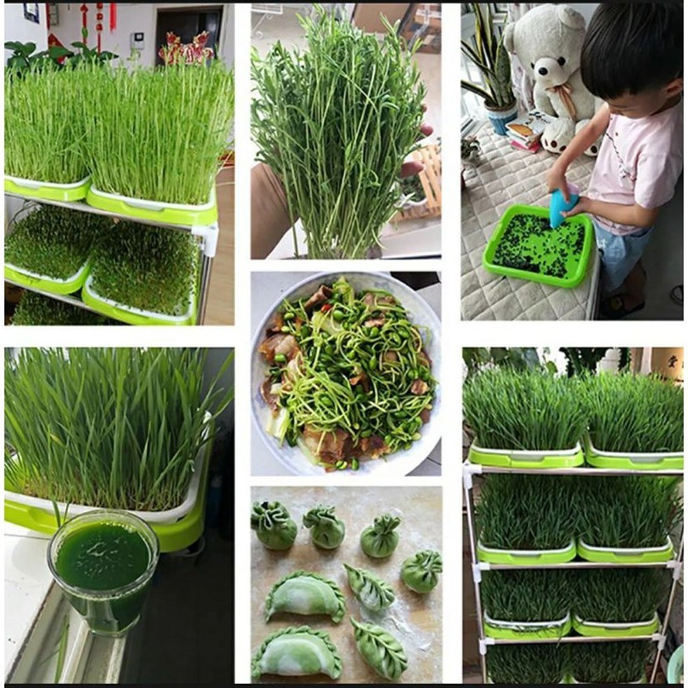 Plastic Sprouting Tray Pots Accessory Cells Container Germination Parts