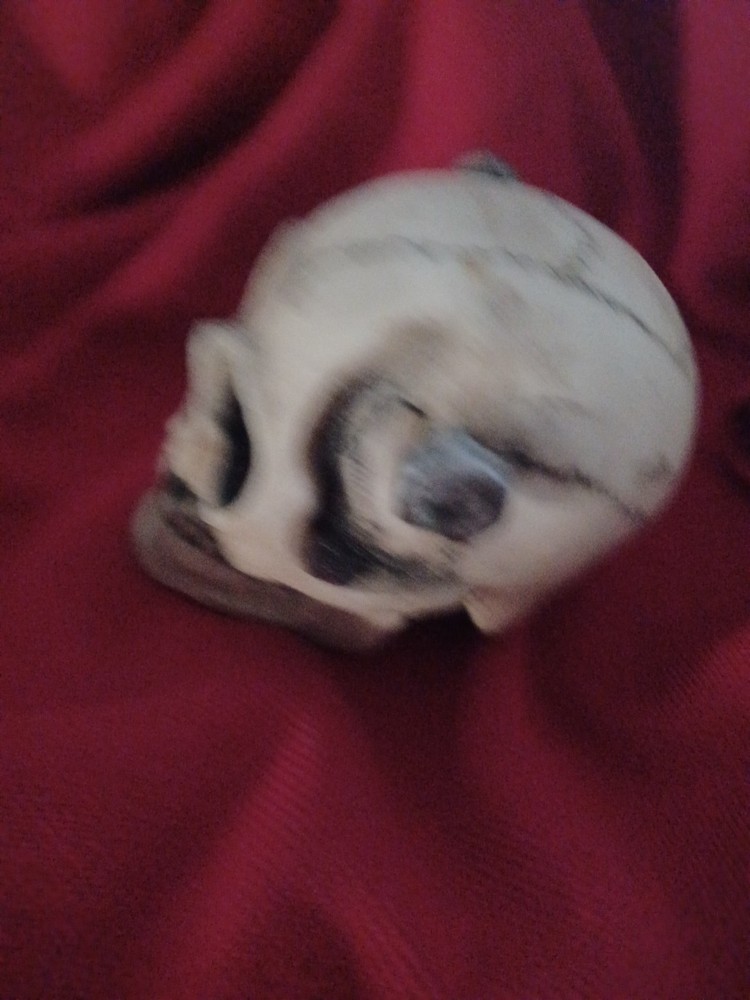 Gothic/Macabre Small Skull