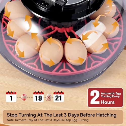 for Hatching Eggs, Chicken Egg Incubator with Automatic Egg 12 Egg Incubators