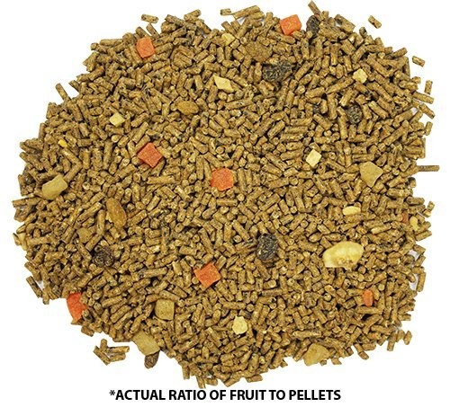 Glider Complete 5 lb | Natural Fruit Bits | Sugar Glider Food