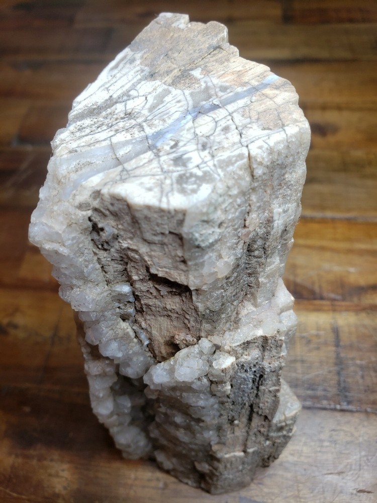 Crystalized Petrified Wood with vien 2.6lbs