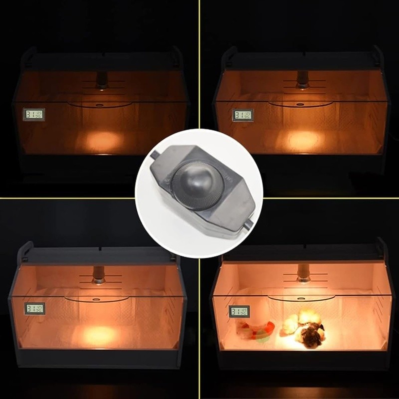110V 50W Heat Lamp Brooder Box Temperature Control W/ Humidity Display New