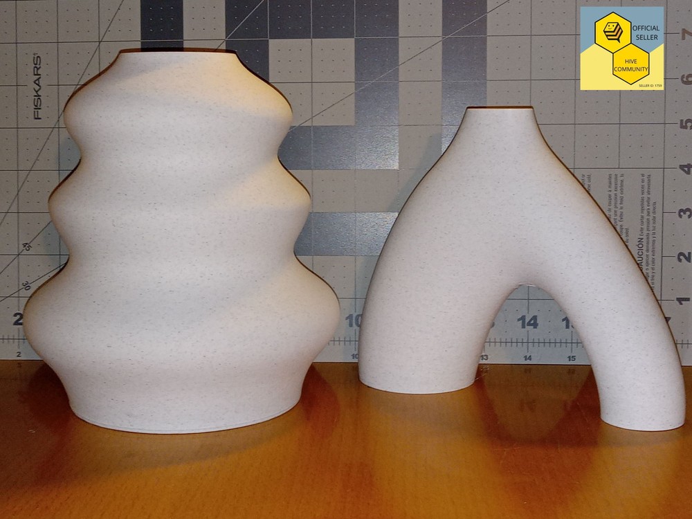 3D Printed Continuing Elegance Duo Vase Set