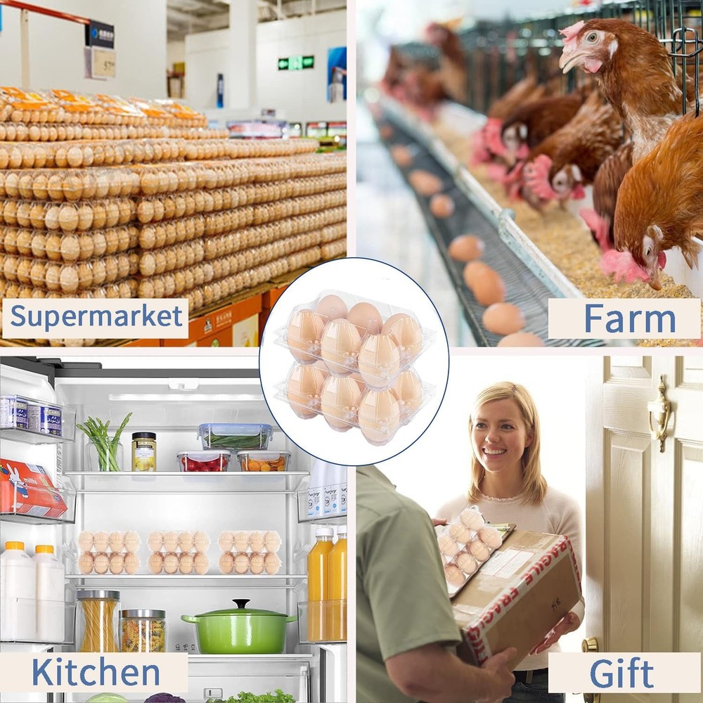 Plastic Clear Egg Carton for 6 Eggs,12Pack Holds 6 eggs-12Pack,