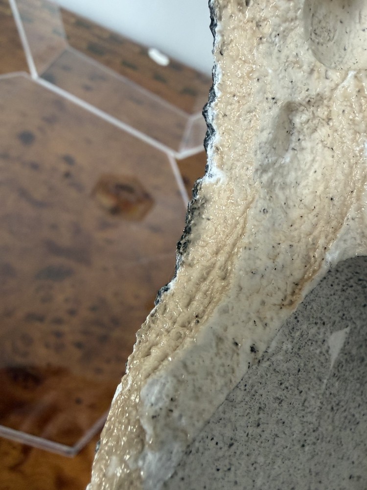 Space X Starship Flight 7 Heat Shield Tile (Space Flown) + Authentic Patch