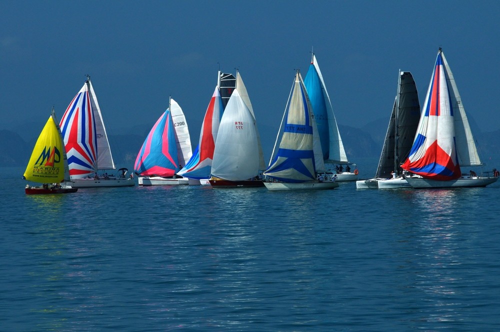 RegattaFinder.com- Amazing Sailing Domain Opportunity-
