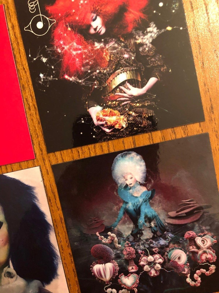 Bjork fridge magnets