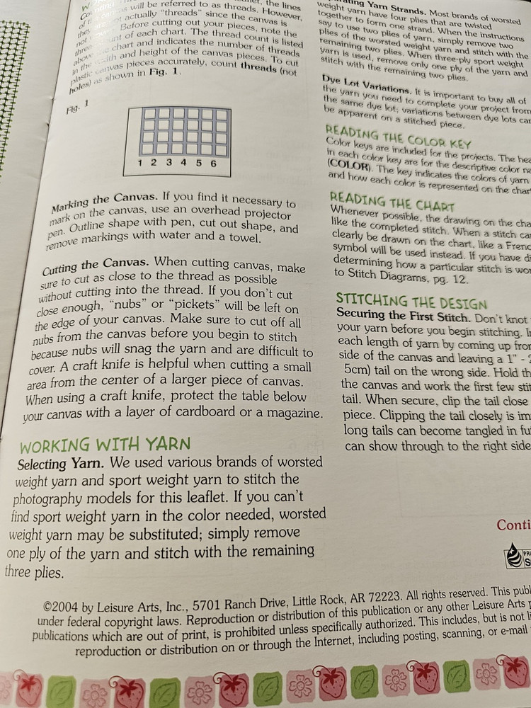 Strawberry Shortcake Frames & Keepsakes Booklet Plastic Canvas Craft Patterns