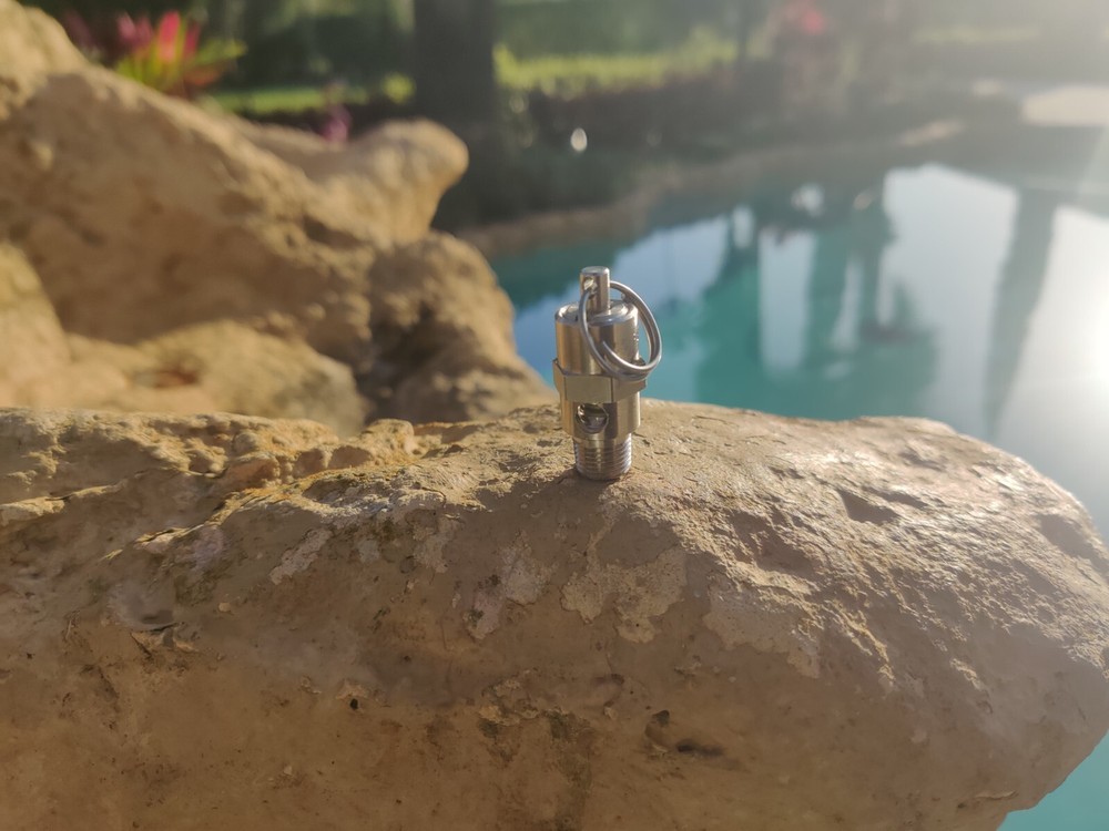 BINKS DEVILBISS Safety Valve for 80-295 2 Quart Pressure Pot