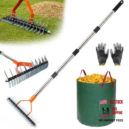 Thatch Rake for Lawn, 15'' Wide Thatcher Rake with 40-70'' Adjustable Handle,