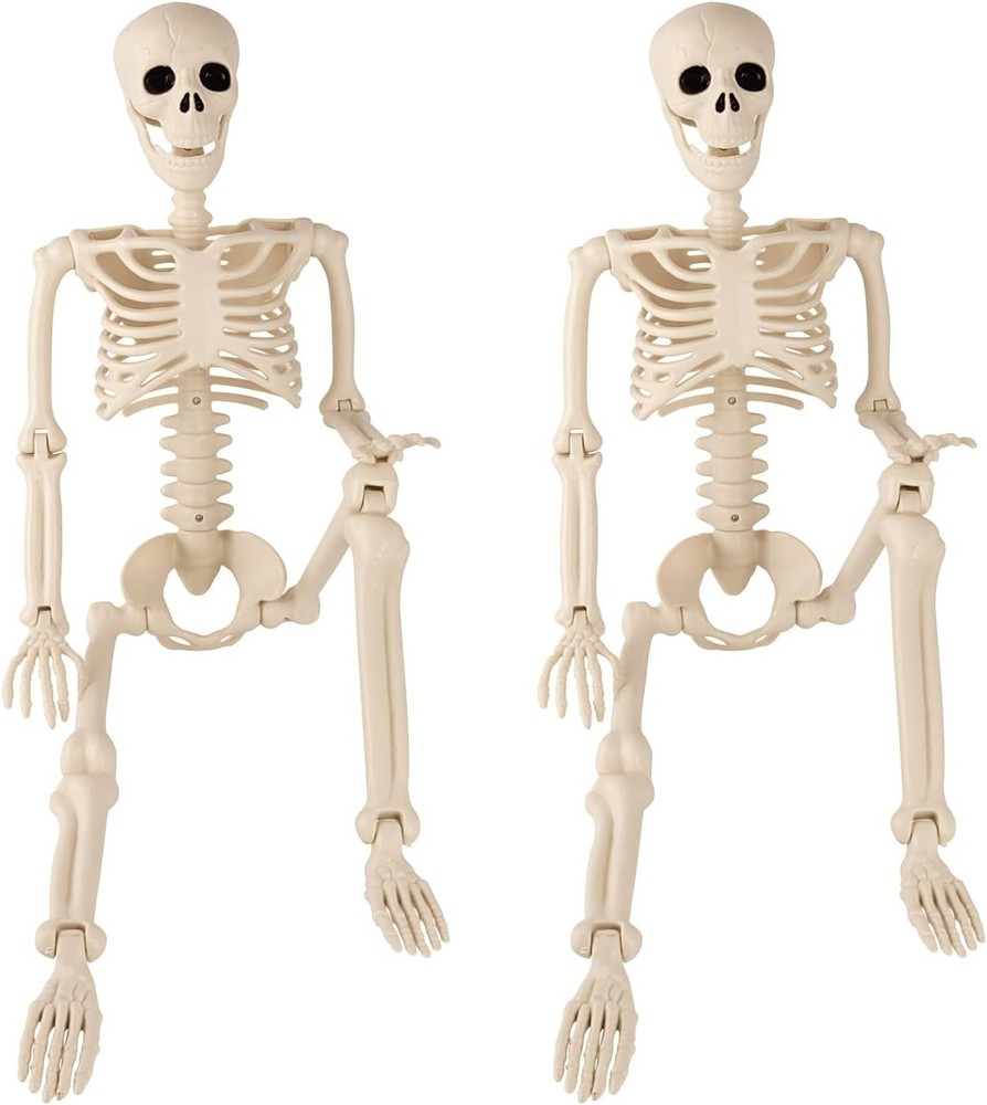 2pc Halloween Skeleton 3 ft Human Skeleton Full Body Posable Joints Skeleton
