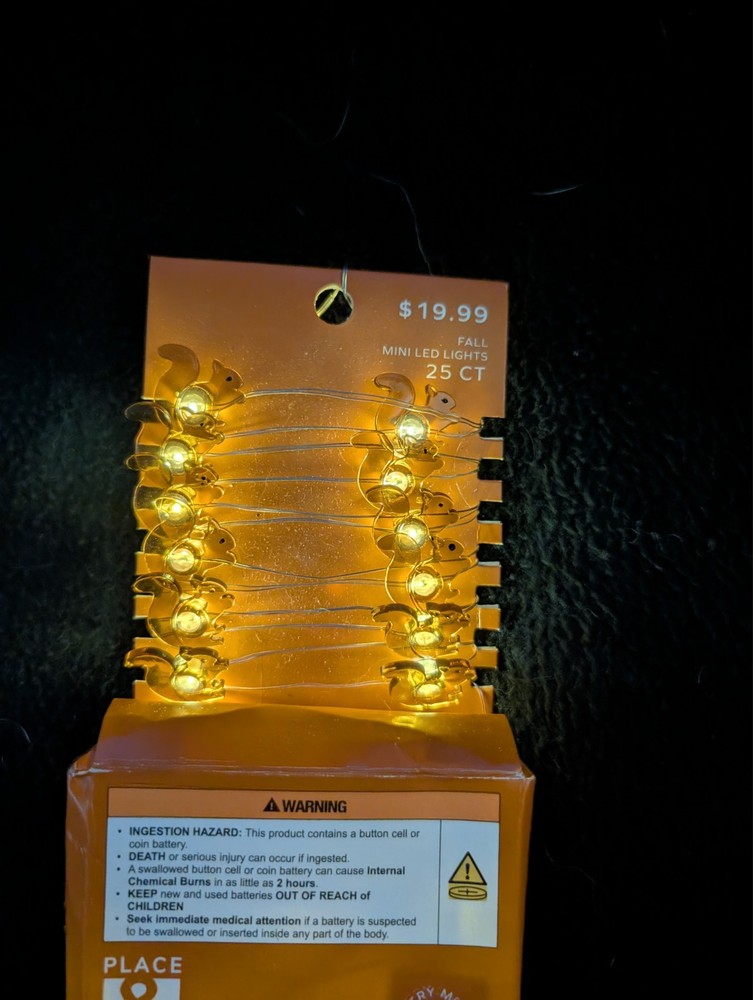 place and time fall mini light squirrel