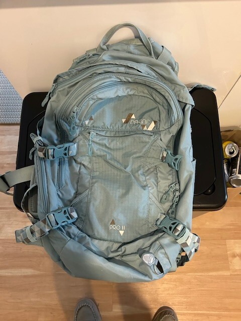 Dakine Women's Backpack Pro II