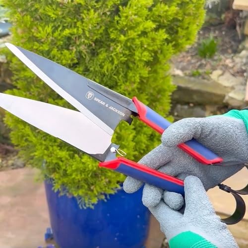 4855TS Razorsharp Advantage Topiary Shears Classic