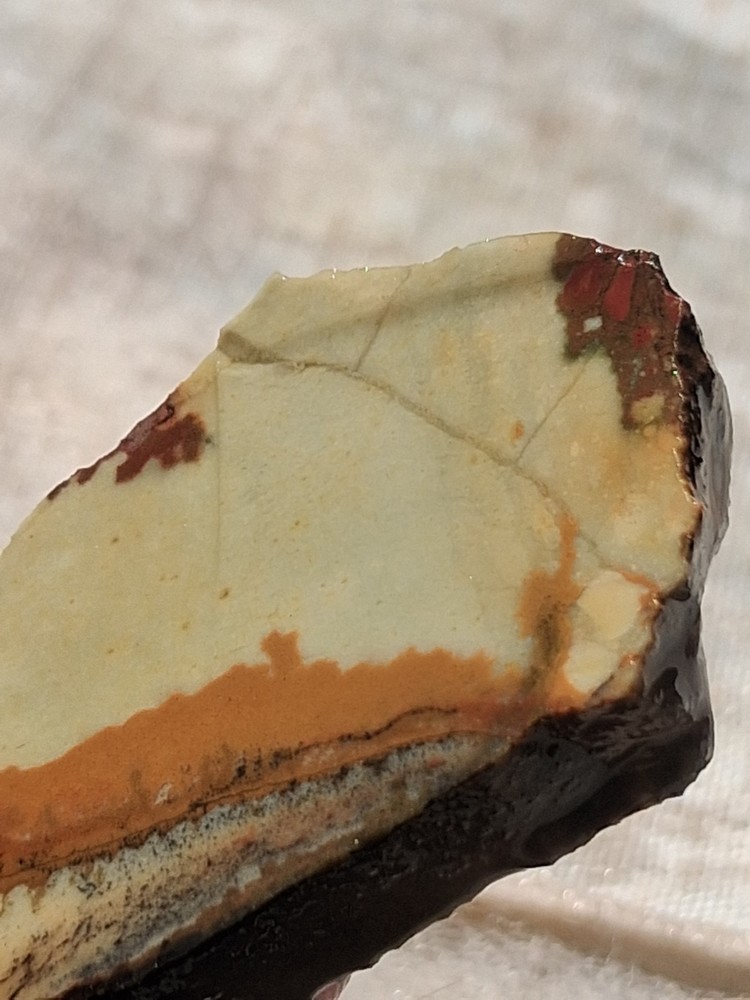 Death Valley Indian Paint Cab Ready For Lapidary